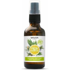 ZUIVERENDE ROOMSPRAY FRESH /W  50ml